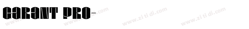 Garant Pro字体转换